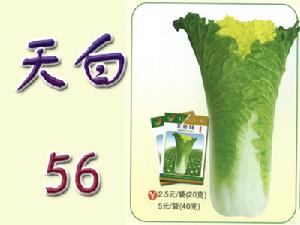 天白56