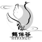 重慶鶴伴谷太極拳社