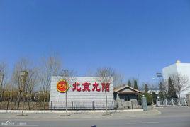 北京九陽實業公司 北京九陽實業公司
