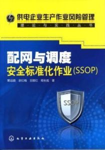 配網與調度安全標準化作業 配網與調度安全標準化作業