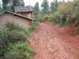 盧坪子村 盧坪子村