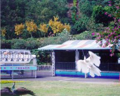 大聖遊樂世界 大聖遊樂世界