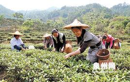 閩南採茶調 閩南採茶調