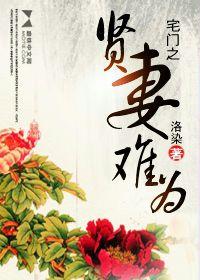 宅門之賢妻難為 宅門之賢妻難為