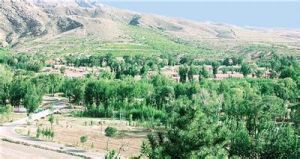 營子村[內蒙古翁牛特旗解放營子鄉營子村]