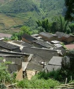 東沙二社村 東沙二社村