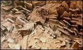 泥版書屋 泥版書屋