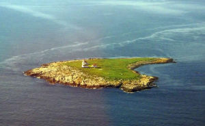 瑪基亞斯海豹島