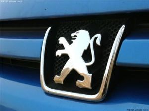 標誌汽車公司 標誌汽車公司