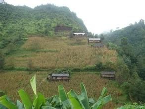 阿南資務堵自然村 阿南資務堵自然村