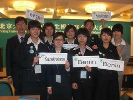 模擬聯合國 模擬聯合國