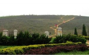 鹹嘉湖唐墓 鹹嘉湖唐墓