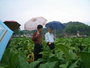 謝聯輝[中國科學院院士]