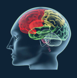 意識色彩學 意識色彩學