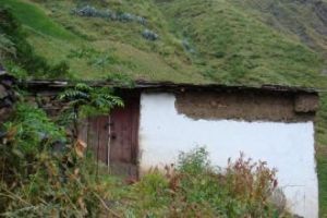 新關房自然村 新關房自然村