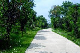 金山森林公園 金山森林公園