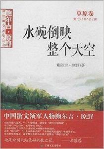 水碗倒映整個天空 水碗倒映整個天空