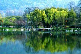 滿糖春色 滿糖春色