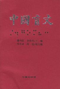 中國盲文 中國盲文
