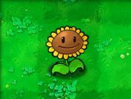 《植物大戰殭屍》[PopCap Games開發的遊戲]