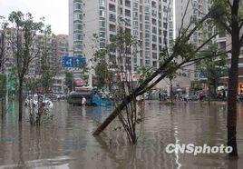 1981年長江上游洪水 1981年長江上游洪水