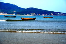 青島海邊漁家樂