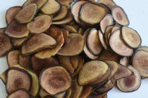 鹿茸大補丸 鹿茸大補丸