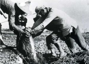  中華人民共和國土地改革法公布實施