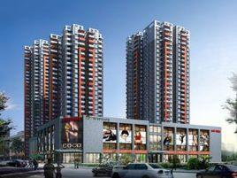 雅荷春天 雅荷春天