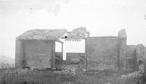 1907年法國漢學家沙畹攝昭陵六駿