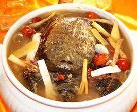 火腿燉甲魚 火腿燉甲魚