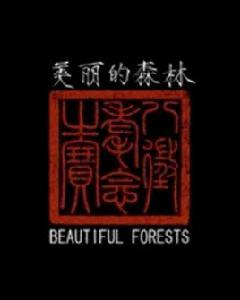美麗的森林 美麗的森林