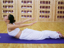 全蝗蟲式 全蝗蟲式