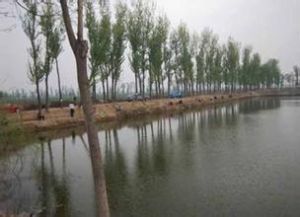 大松垡村 大松垡村