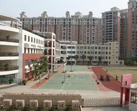 十二年一貫制學校 十二年一貫制學校