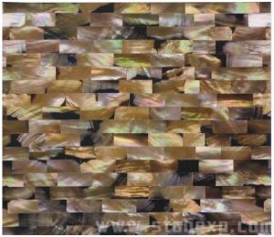 深色貝殼 深色貝殼