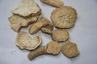 橘皮防己湯 橘皮防己湯