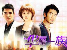 華麗一族[中國2013年李欣汝、高以翔主演電視劇]