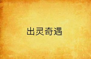出靈奇遇 出靈奇遇