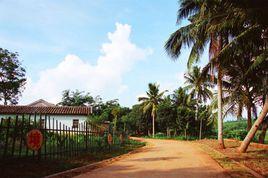 大坡鎮[海南省海口市瓊山區大坡鎮]