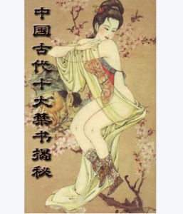 中國古代禁書 中國古代禁書