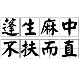 蓬生麻中,不扶而直 蓬生麻中,不扶而直