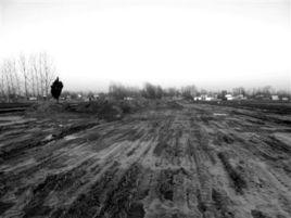 河南上蔡縣麥田被鏟事件 河南上蔡縣麥田被鏟事件