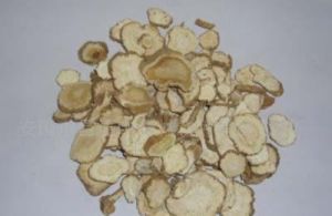 黃耆白芷膏 黃耆白芷膏