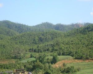 糯礦自然村 糯礦自然村