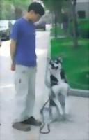 動物心理學 動物心理學