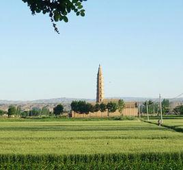 中衛磚塔村 中衛磚塔村