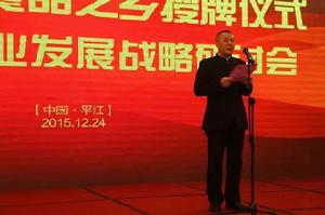 中國麵筋食品之鄉授牌儀式