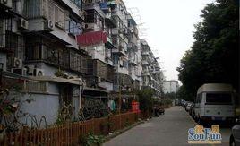 共康五村 共康五村