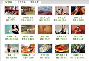 （圖）桌桌網為用戶提供各種服務